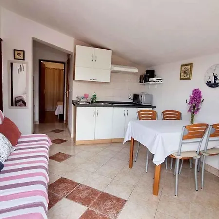 Apartment Vir 10